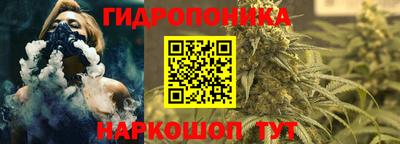 ПСИЛОЦИБИНОВЫЕ ГРИБЫ Краснодар