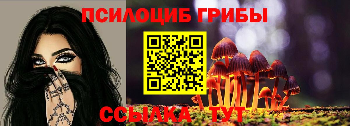 Галлюциногенные грибы Magic Shrooms Железногорск