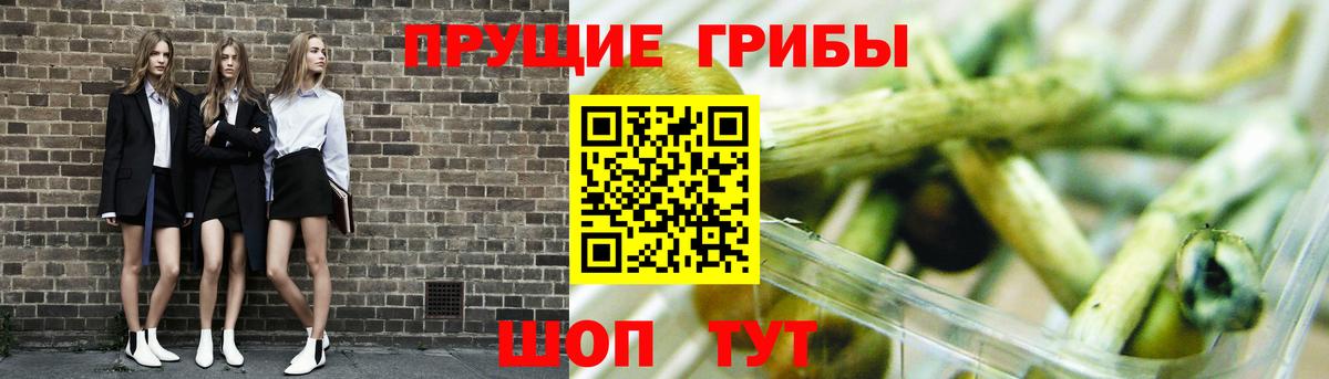 Псилоцибиновые грибы Psilocybe  Вход с VPN  Железногорск  Псилоцибиновые грибы MAGIC MUSHROOMS 